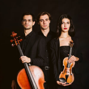 Trio Kobalt