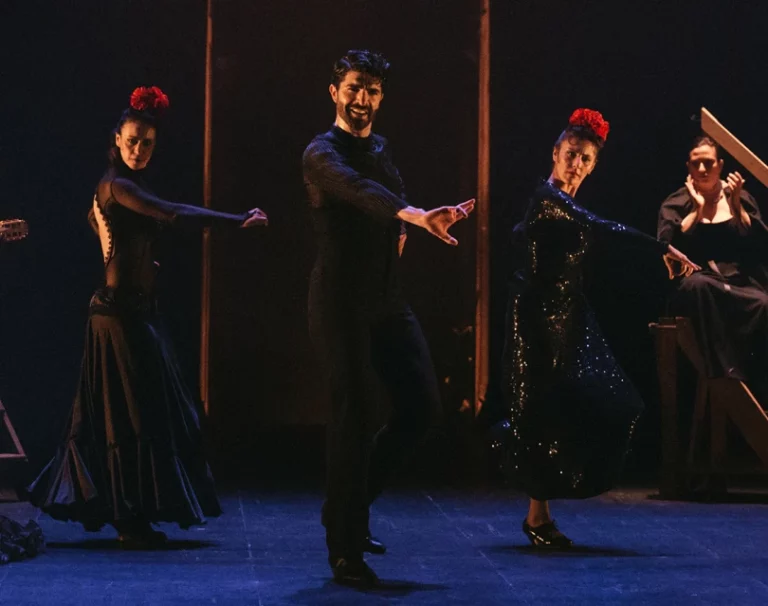Ballet flamenco