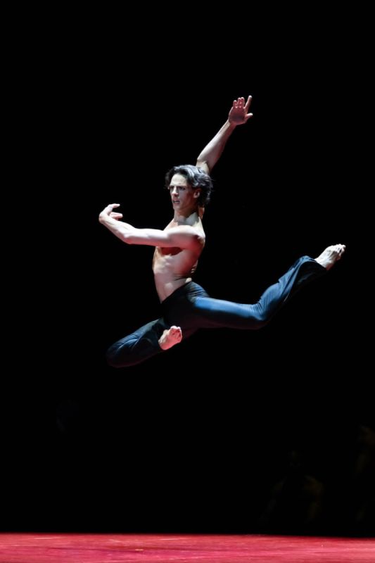 Gala du Ballet