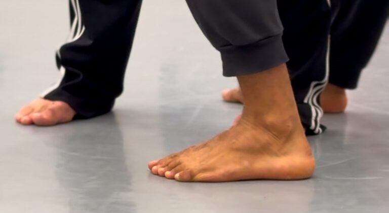 Répétition publique – Ballet